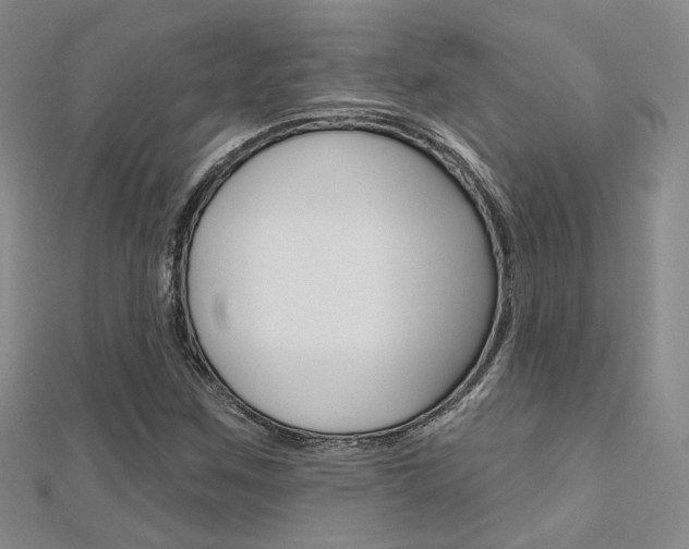 X0000112161259200908070931