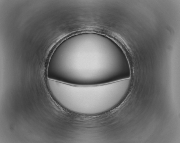 X0000112161260200908070931