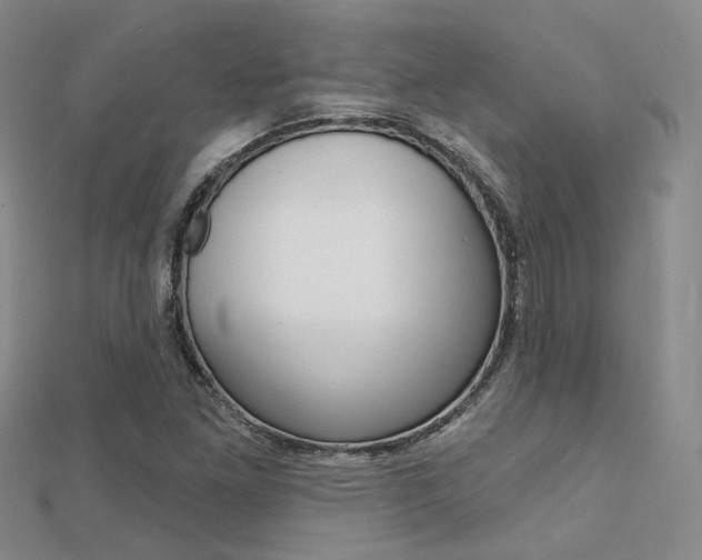 X0000112161261200908070931
