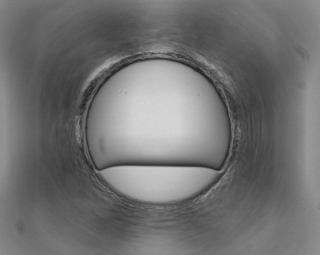 X0000112161262200908070931