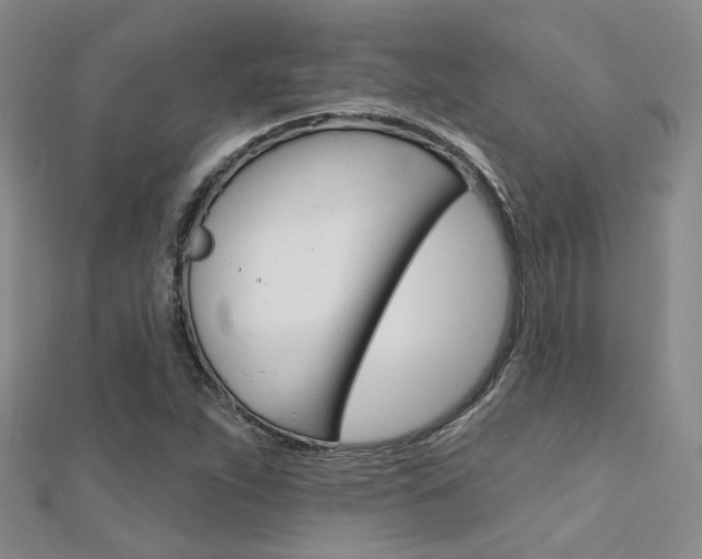 X0000112161263200908070931
