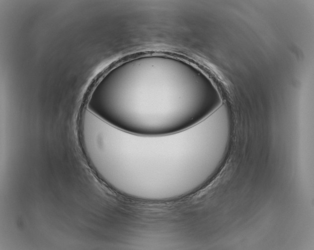 X0000112161264200908070931