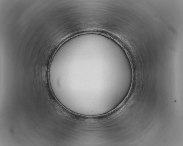 X0000112161265200908070931