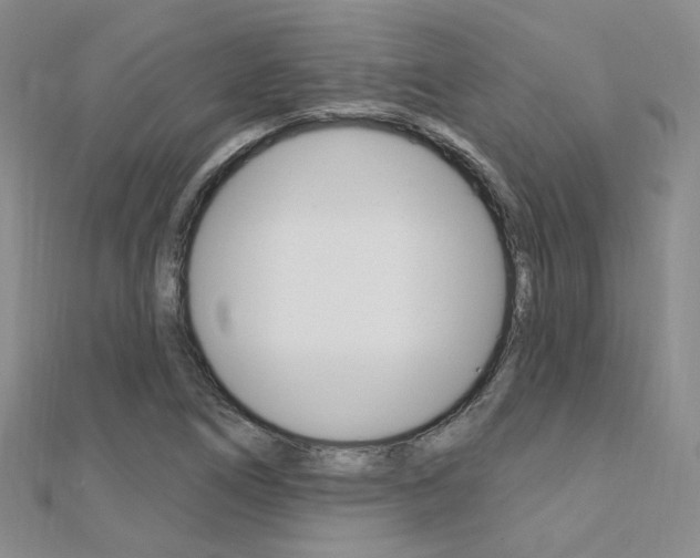 X0000112161266200908070931