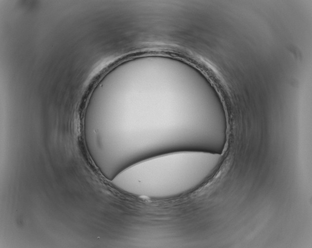 X0000112161267200908070931