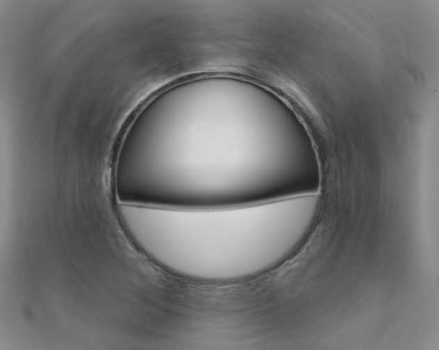 X0000112161268200908070931