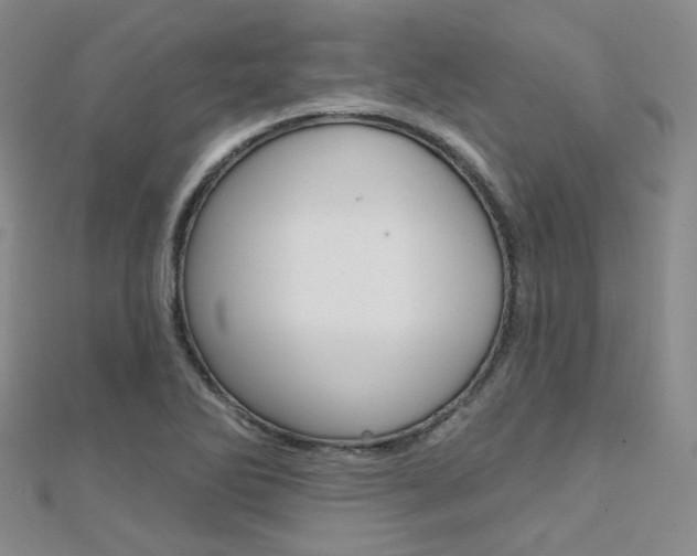 X0000112161270200908070931