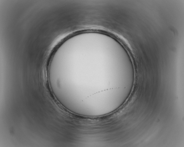 X0000112161271200908070931