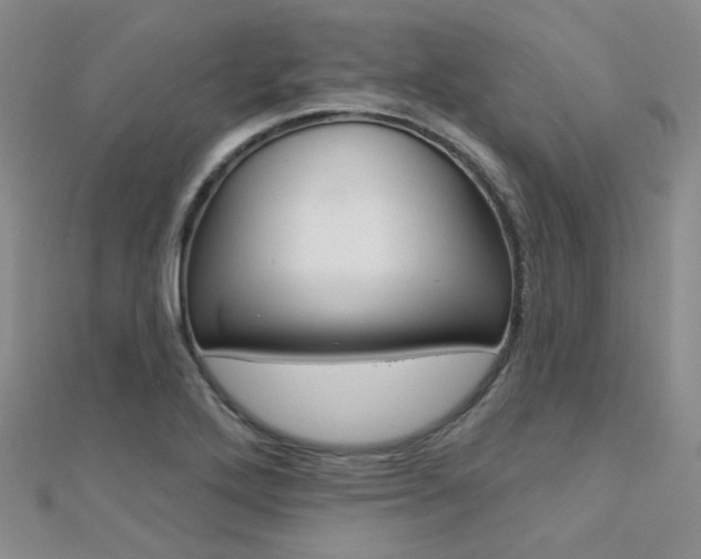 X0000112161272200908070931