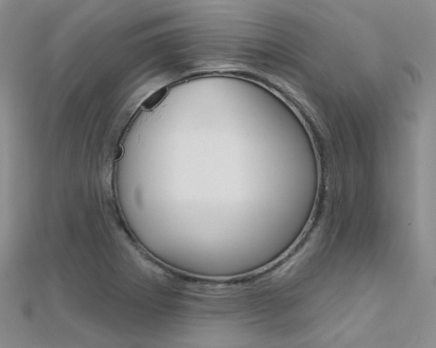 X0000112161273200908070931