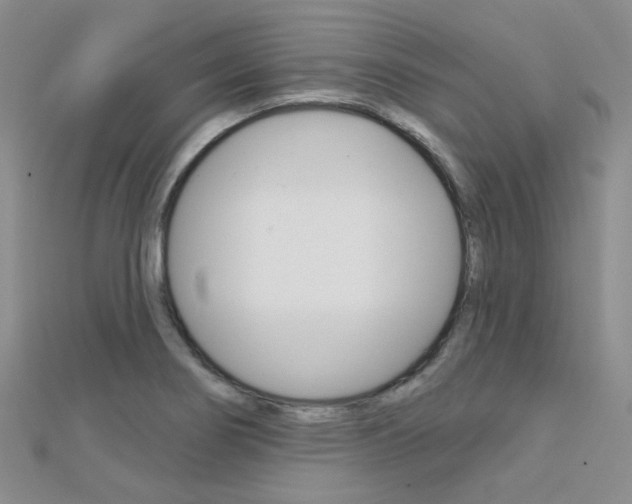 X0000112161274200908070931