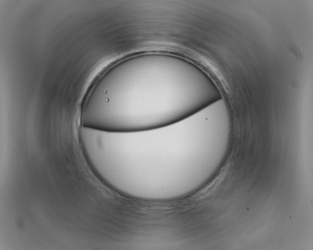 X0000112161275200908070931