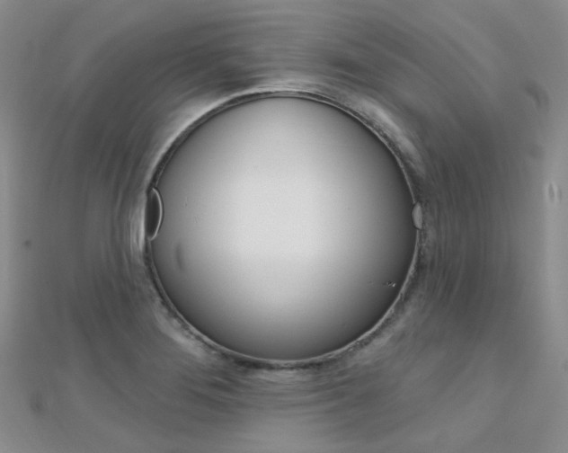 X0000112161276200908070931