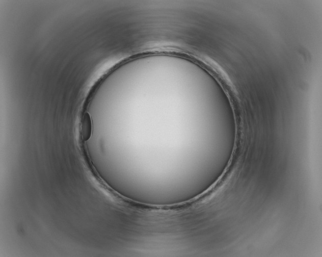 X0000112161277200908070931
