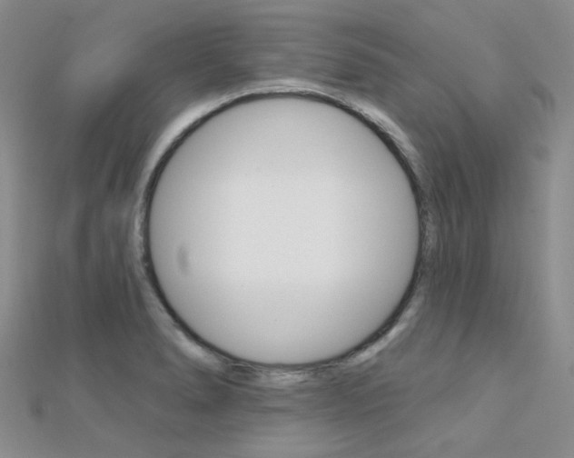 X0000112161278200908070931