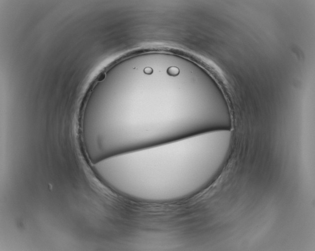X0000112161279200908070931