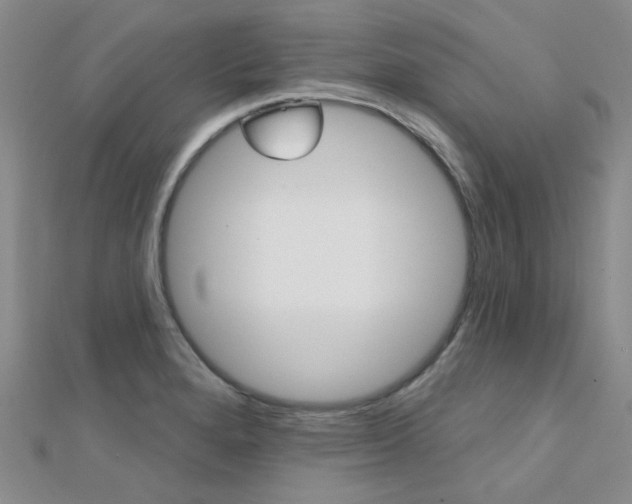 X0000112161280200908070931