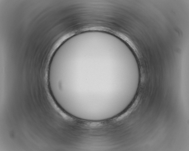 X0000112161282200908070931