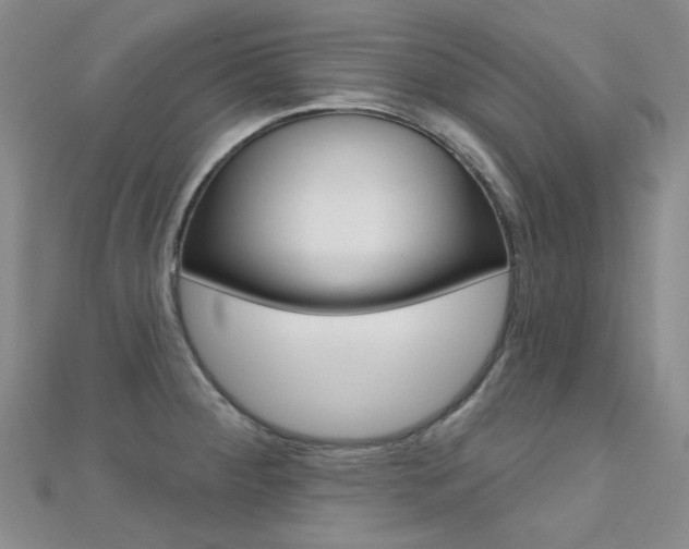 X0000112161284200908070931