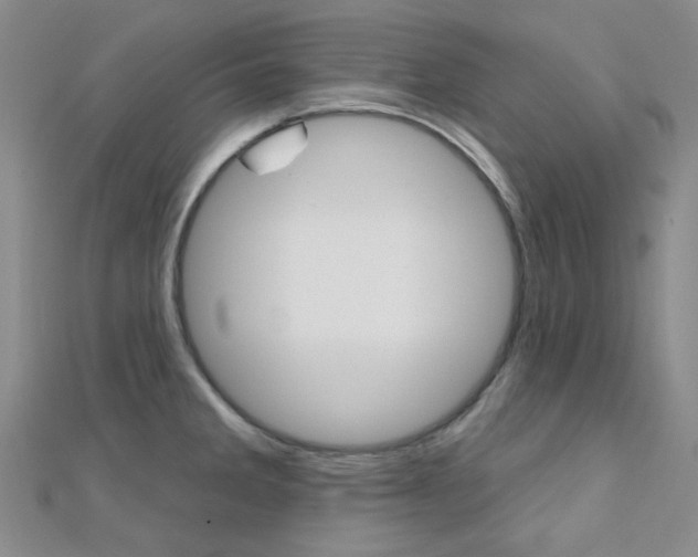 X0000112161285200908070931