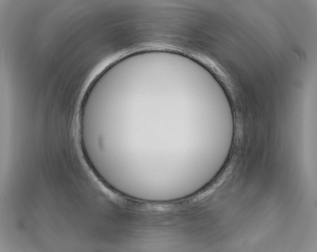 X0000112161286200908070931