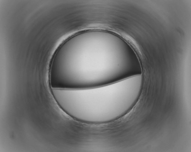 X0000112161288200908070931