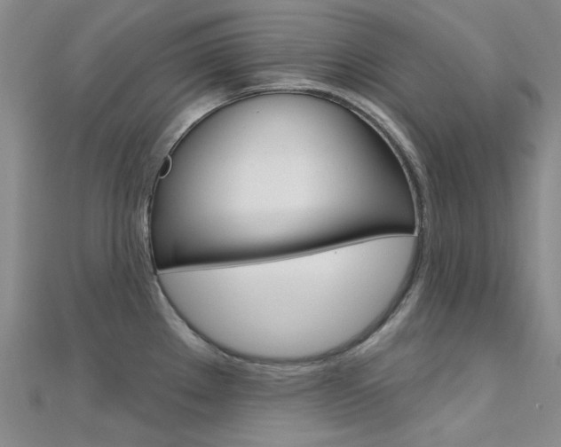 X0000112161289200908070931