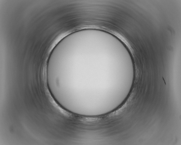 X0000112161290200908070931