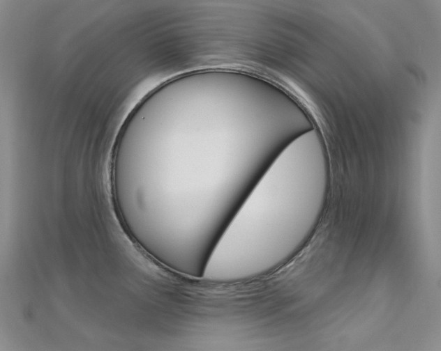 X0000112161291200908070931