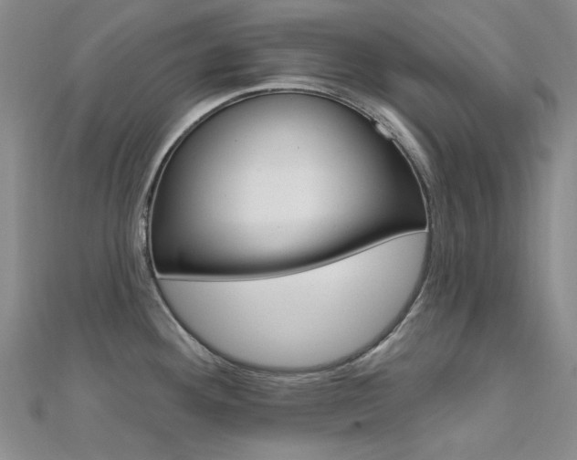 X0000112161292200908070931