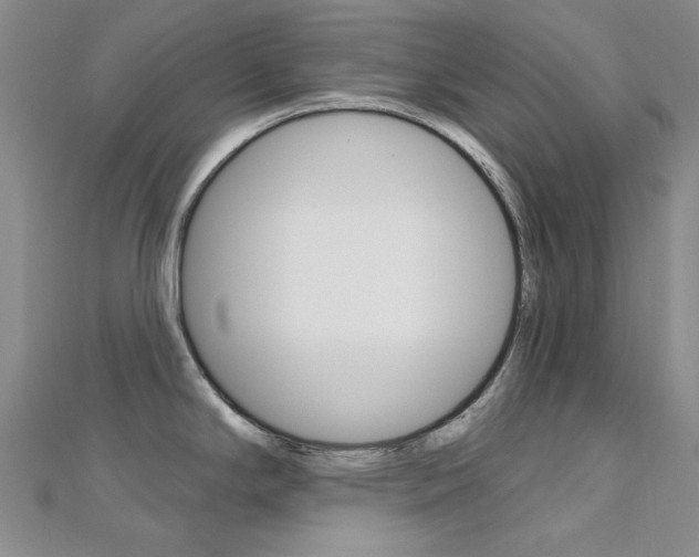 X0000112161294200908070931