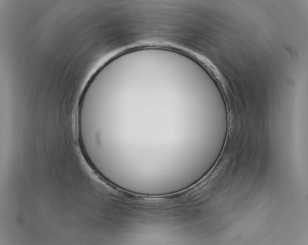 X0000112161295200908070931