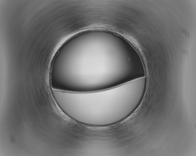 X0000112161296200908070930