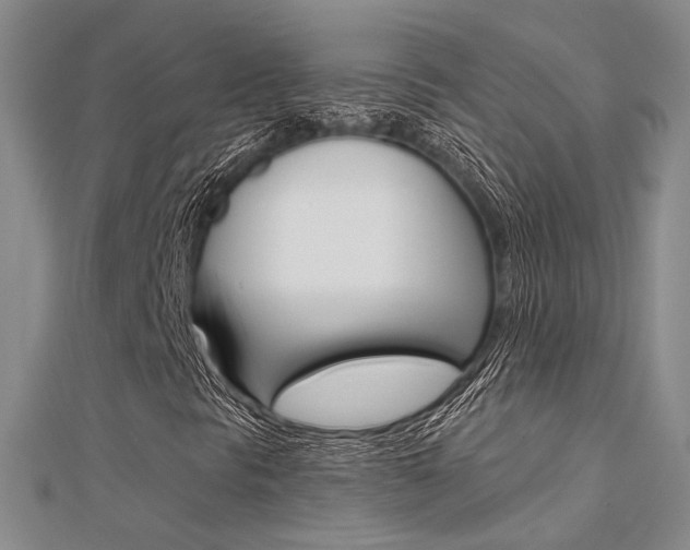 X0000112161297200908070930