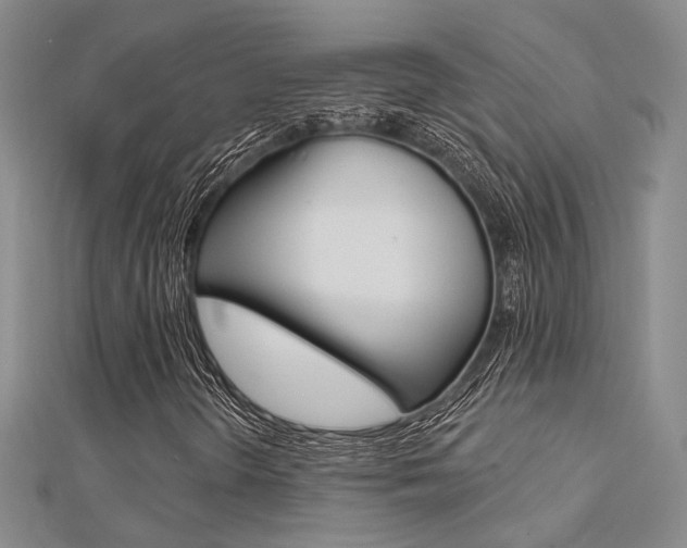 X0000112161298200908070930