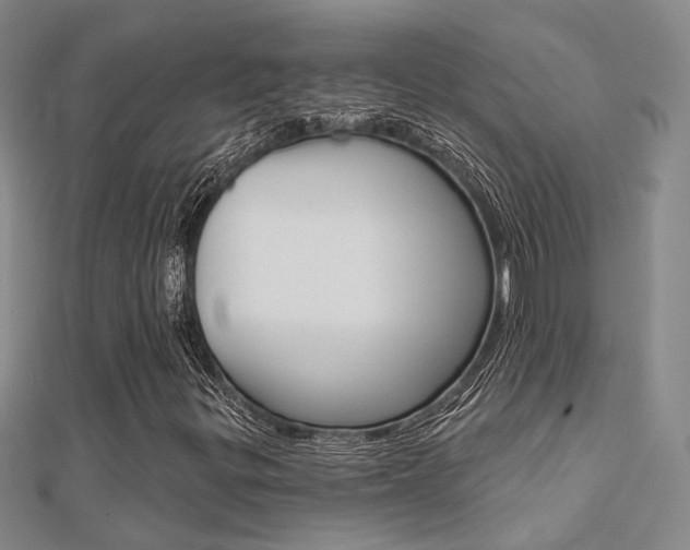 X0000112161299200908070930