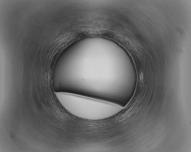 X0000112161300200908070930