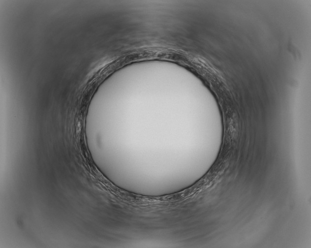 X0000112161302200908070930