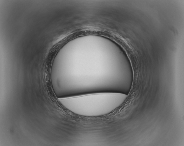 X0000112161303200908070930