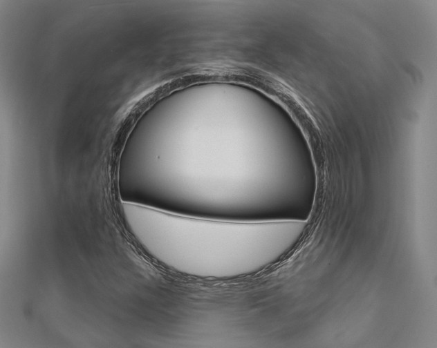 X0000112161304200908070930