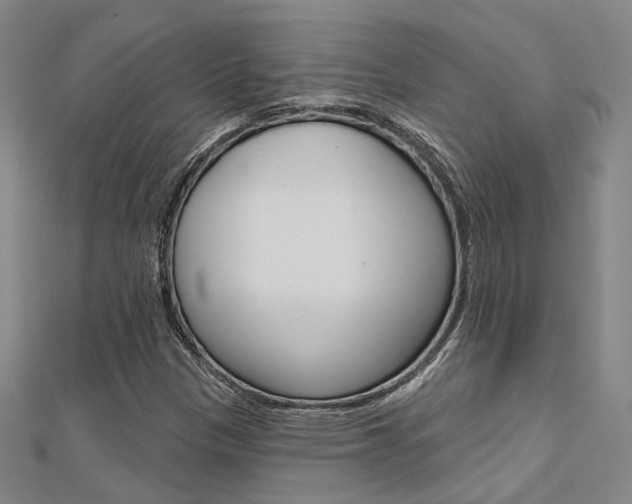 X0000112161305200908070930