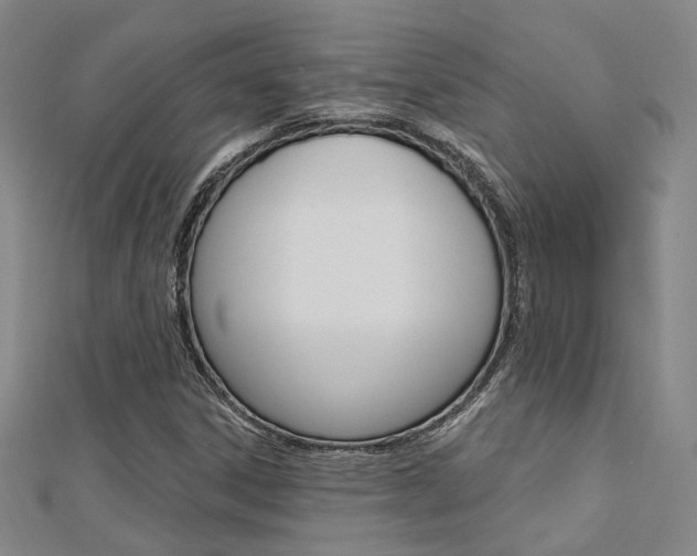 X0000112161306200908070930
