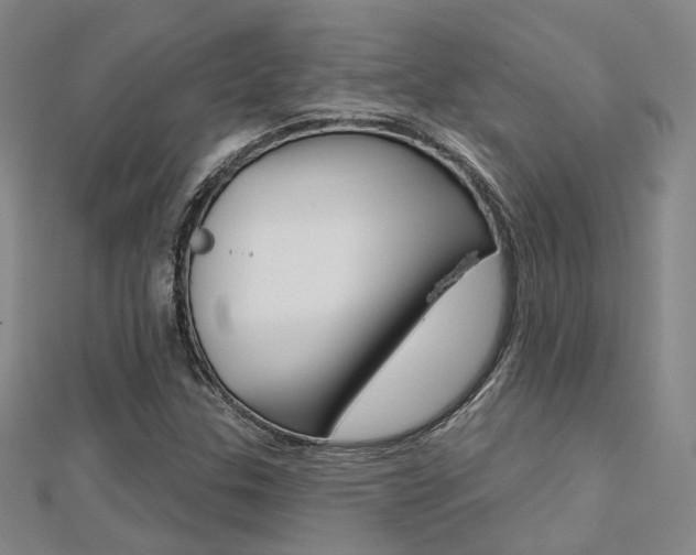 X0000112161307200908070930