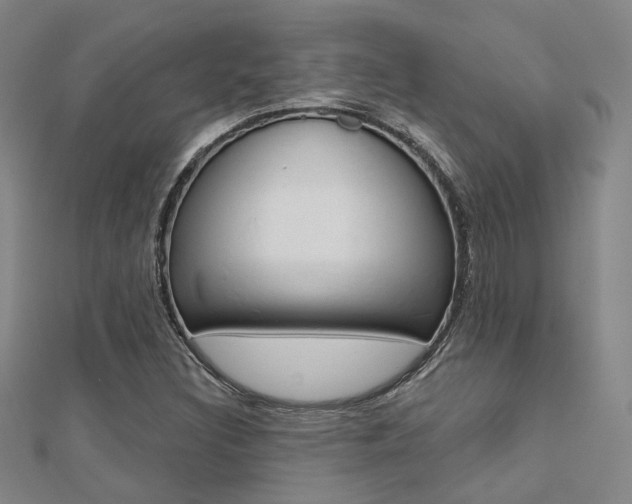 X0000112161308200908070930