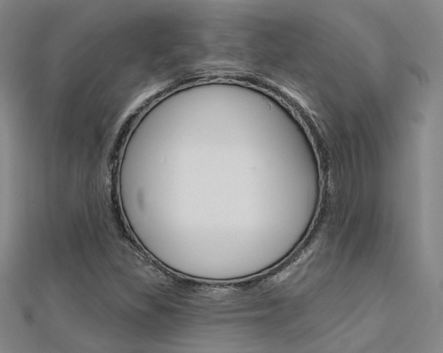 X0000112161309200908070930
