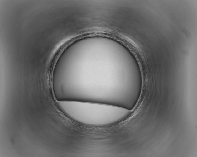 X0000112161310200908070930