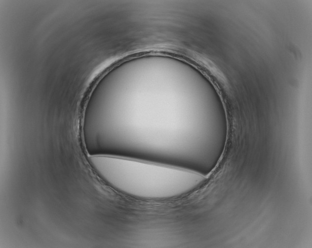 X0000112161316200908070930