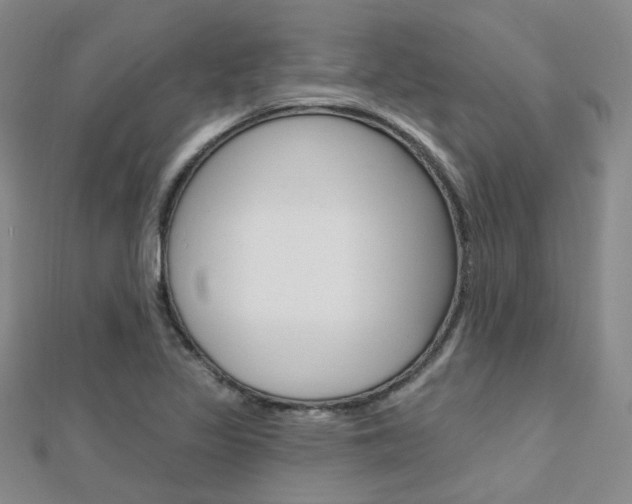 X0000112161317200908070930