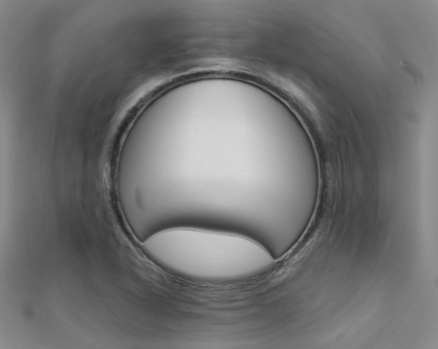 X0000112161318200908070930