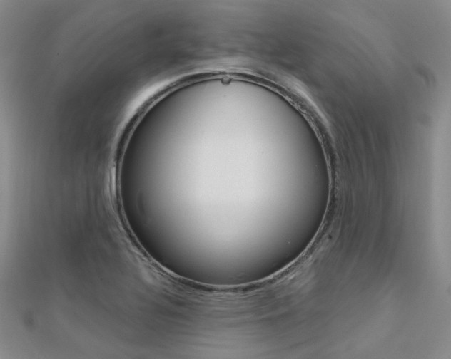 X0000112161320200908070930
